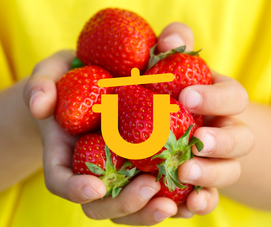 Featured image for “Truskawkowy raj!”